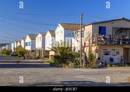 France, Aude, Gruissan, Gruissan-les Chalets, chalets sur pilotis Banque D'Images