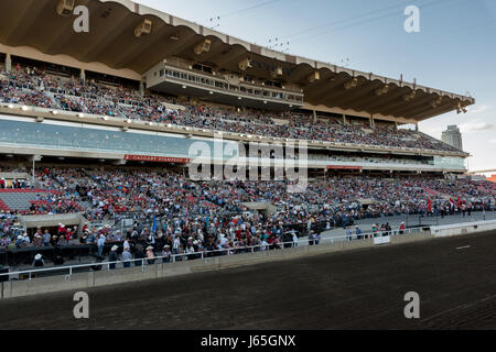 Les spectateurs lors de l'assemblée le Stampede de Calgary, Calgary, Alberta, Canada Banque D'Images