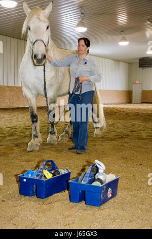 Michigan,MI,Mich,Upper Midwest,Saginaw County,Frankenmuth,Kaléidoscope Learning Circle,équine Assisted learning,EAL,chevaux de cheval,blanc,animal,annonce adulte Banque D'Images