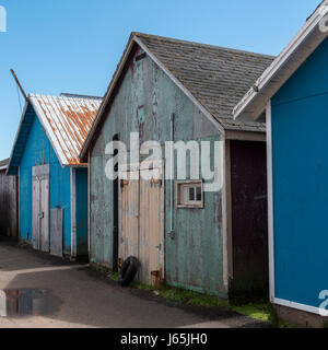 Cabanes de pêche au port, Kensington, Prince Edward Island, Canada Banque D'Images