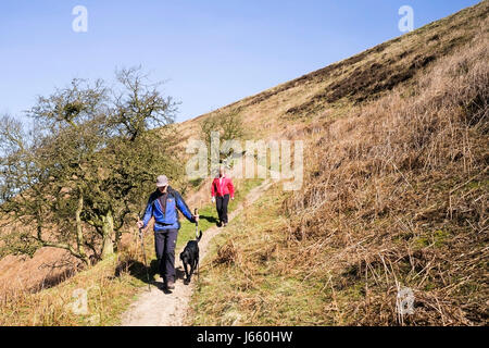 En ordre décroissant de Levisham Moor sur un matin de printemps à pied, North York Moors, Yorkshire, UK Banque D'Images