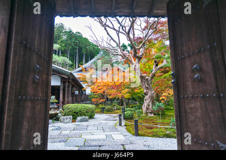 La porte d'entrée belle érable japonais jardin pendant l'automne à Enkoji Temple de Kyoto, Japon Banque D'Images