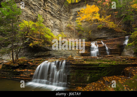 Un ruisseau de babeurre babeurre cascade le long de la gorge du ruisseau près de Ithaca, New York à l'automne. USA Banque D'Images