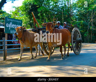 Pyay, Sri Ksetra, site du patrimoine mondial de l'UNESCO Banque D'Images