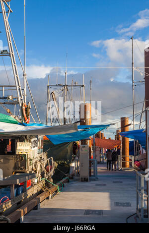 Bateaux de pêche commerciale attaché un ponton flottant pour vendre leur poisson à la fonction direct Banque D'Images