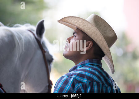 Tulum, Mexique - Mars 16, 2017 : travail de cow-boy avec un jeune cheval. Banque D'Images