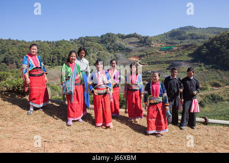 CHIANGMAI THAILANDE - JAN10 : Dara-ang hill tribe récolte les feuilles de thé tea plantation comunity domaine le 10 janvier , 2016 à Chiangmai tha Banque D'Images