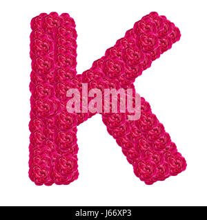 Lettre K alphabet de damask rose ABC type de concept que logo isolé sur fond blanc Banque D'Images