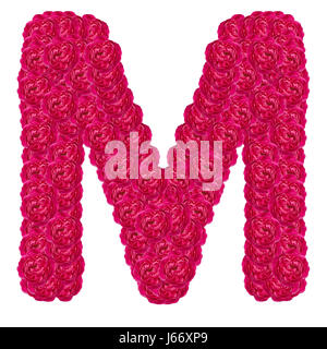 M lettre alphabet de damask rose ABC type de concept que logo isolé sur fond blanc Banque D'Images