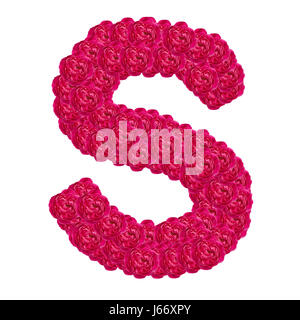 Alphabet lettre S avec ABC rose de damas type de concept que logo isolé sur fond blanc Banque D'Images