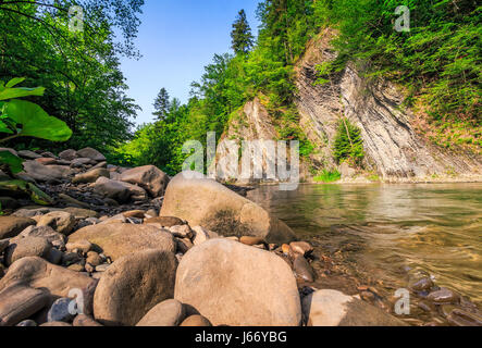 Paysage avec des arbres sur une falaise nearthe rivage d'une rivière claire. Beaux temps estival avec ciel bleu Banque D'Images