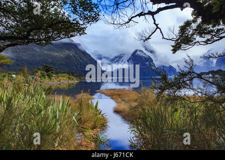 Milfordsound Parc national de Fiordland ile sud Nouvelle zelande Banque D'Images