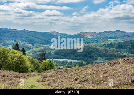 Vue sur Lake Road Lake dans le Lake District Banque D'Images