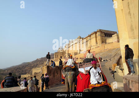 Les éléphants décorés transportant des touristes au Fort Amber à Jaipur, Rajasthan, Inde, le 16 février, 2016. Banque D'Images