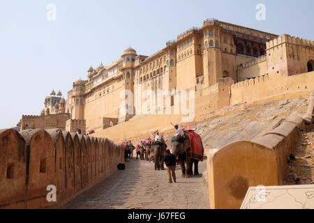 Les éléphants décorés transportant des touristes au Fort Amber à Jaipur, Rajasthan, Inde, le 16 février, 2016. Banque D'Images