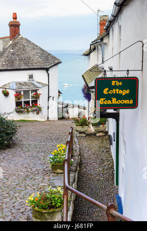 Le gîte Les salons de thé, Clovelly, Devon, UK Banque D'Images