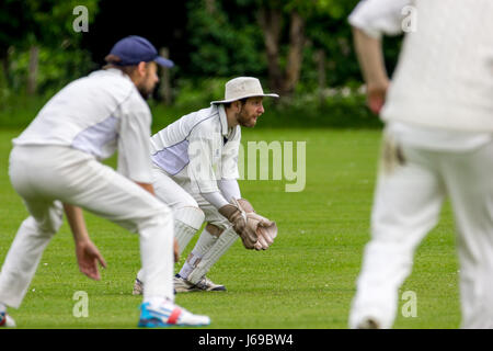 Firle Cricket Club, Firle, East Sussex, Royaume-Uni. 20 mai, 2017. Firle Cricket Club 1ère XI Vs Barcombe Cricket Club 1ère XI. Credit : Alan Fraser/Alamy Live News Banque D'Images