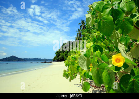 Plage tropicale de Coibita, aka Rancheria, Coiba Isla avec en arrière-plan. Parc national de Coiba, Panama Banque D'Images