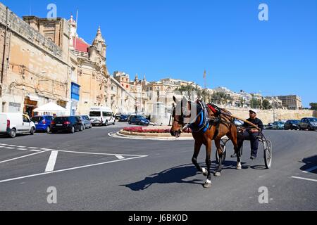 L'homme à cheval et piège passé un îlot avec Victoria, Ta Liesse l'Église et les bâtiments de la ville à l'arrière, La Valette, Malte, Europe. Banque D'Images