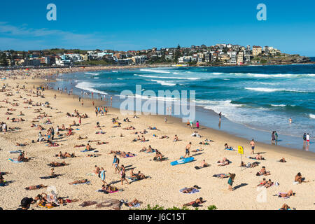 Bondi Beach, Sydney, Australie. Banque D'Images