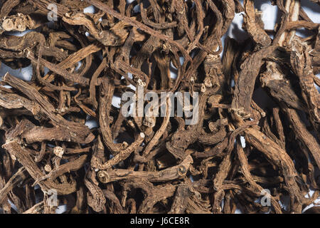 Les racines séchées de pissenlit / Taraxacum officinale - utilisé pour faire du café sans caféine le pissenlit. Banque D'Images