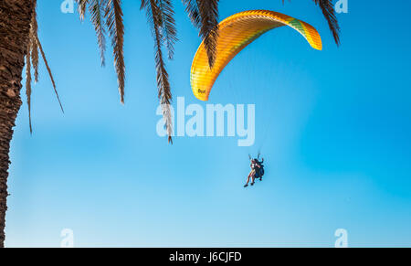 Parapentes en faisceau de parachute jaune arrivant à terre contre ciel bleu vif, le Cap, Afrique du Sud Banque D'Images