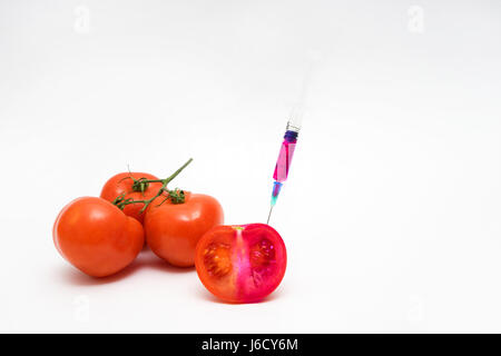 Concept d'OGM sur fond blanc avec les seringues et les tomates. Banque D'Images