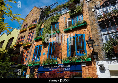 Neal's Yard Square à Covent Garden, Londres, Angleterre, Royaume-Uni, UK Banque D'Images