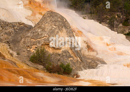 Devil's Thumb Palette au printemps à Mammoth Hot Springs, Parc National de Yellowstone, Wyoming Banque D'Images