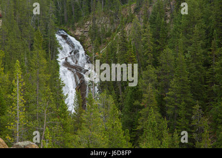 Virginie Cascades, le Parc National de Yellowstone, Wyoming Banque D'Images