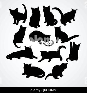 Silhouettes claires pour les chats et chatons Illustration de Vecteur