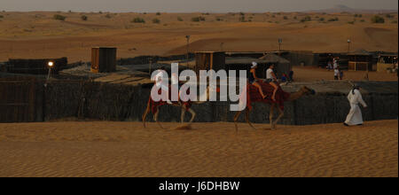 Vue du coucher de soleil blanc homme menant deux chameaux avec des touristes, en dehors de la famille d'équitation la clôture périphérique de l'alpha tours desert camp, Dubaï, Émirats arabes unis Banque D'Images