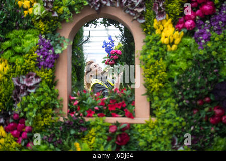 Becky Frost décide des arrangements floraux sur les marques et Spencer afficher durant les préparatifs de la RHS Chelsea Flower Show 2017 au Royal Hospital Chelsea à Londres. Banque D'Images