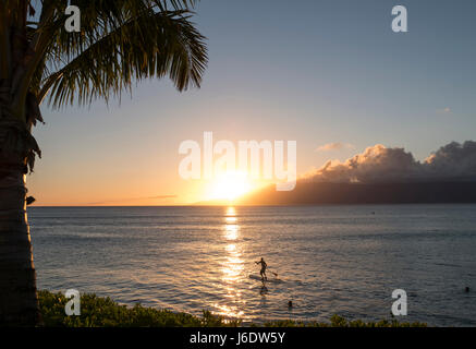 Un homme sur un paddle board au coucher du soleil à Napili Bay, Maui Hawaii. Banque D'Images