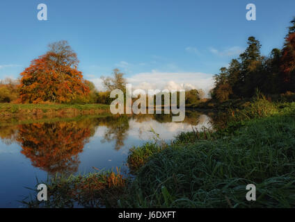 Rivière Boyne, viande, Irlande Co. Banque D'Images