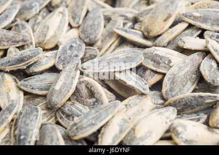 De délicieuses graines de tournesol grillées et salées dans leur coquille. Close up de graines de tournesols Banque D'Images