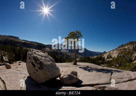 Point d'Olmsted, Tioga Pass, Yosemite NP, en Californie Banque D'Images