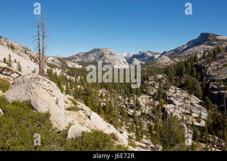 Point d'Olmsted, Tioga Pass, Yosemite NP, en Californie Banque D'Images