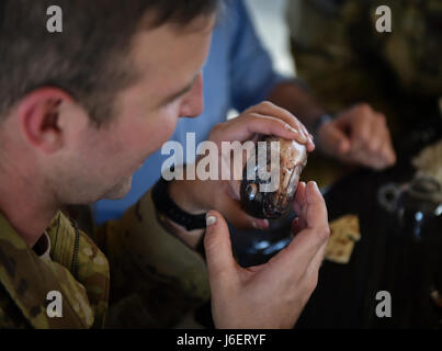 Le Capitaine Ian Hocking, un conseiller de l'aviation de combat avec l'étudiant 6e Escadron d'opérations spéciales, est titulaire d'une tête de poisson au cours de l'opération Raven Claw au Duc champ, en Floride, le 26 avril 2017. Les élèves ont été exposés à des "terres de Palmetto" qui comprend la culture de sucer les yeux d'une tête de poisson, manger avec leurs mains et en chantant au karaoké. (U.S. Air Force photo par un membre de la 1re classe Joseph Pick) Banque D'Images