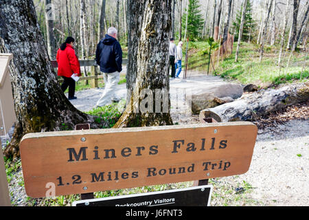 Michigan Upper Peninsula,U.P.,UP,Lake Superior,Pictured Rocks National Lakeshore,Miners Falls Trail,Great Lakes,début du printemps,signe,logo,direction,natur Banque D'Images