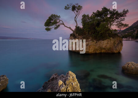 Sur la célèbre plage de roche en place Brela, Dalmatie, Croatie Banque D'Images