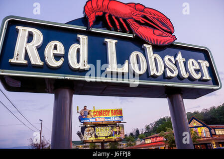 Sevierville Tennessee, Smoky Mountains, Red Lobster, restaurant restaurants repas café cafés, enseigne au néon, panneau d'affichage, publicité, annonce, crépuscule, soirée, sorties Banque D'Images