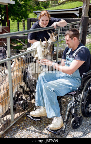 Sevierville Tennessee, Smoky Mountains, Smoky Mountain Deer Farm et exotique Petting Zoo, chèvre, fauteuil roulant, adultes homme hommes hommes, femme femmes lad Banque D'Images