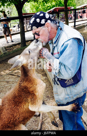 Sevierville Tennessee, Smoky Mountains, Smoky Mountain Deer Farm et exotique Petting Zoo, kangourou, les visiteurs voyage visite touristique site touristique Banque D'Images