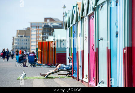 Brighton, UK. 21 mai, 2017. Le soleil à leurs cabanes de plage profiter du magnifique temps ensoleillé sur Hove front cet après-midi avec demain devrait être la journée la plus chaude de l'année Crédit : Simon Dack/Alamy Live News Banque D'Images