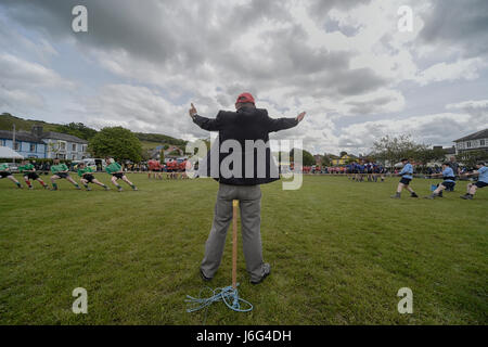 Aberaeron, West Wales, UK. 21 mai, 2017. Pour la première fois, un remorqueur de la guerre a eu lieu dans le compactage bean le carré déposées en Aberaeron préfet et le temps était beau et ensoleillé. Crédit : andrew chittock/Alamy Live News Banque D'Images