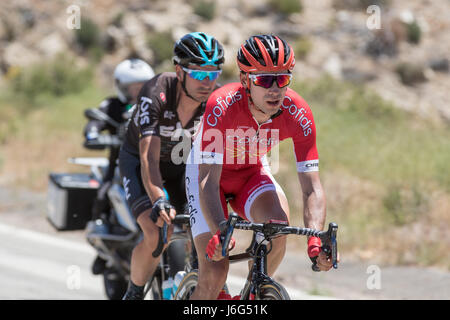 Palmdale, Californie. Le 20 mai 2017. Nicolas Edet de l'équipe Cofidis, Solutions Crédits (FRA) lors de l'étape 7 sur le Mt. Emma Rd. de Palmdale, Californie. Crédit : John Geldermann/Alamy Live News Banque D'Images