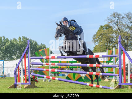 Le château de Rockingham, Corby, Royaume-Uni. 21 mai, 2017. Rider Paul Graham et son cheval Weston une vision de l'avance sur le rail supérieur de la clôture finale dans la phase aller montrer sur une journée ensoleillée au cours de la Rockingham International Horse Trials dans le parc du château normand à Rockingham, Corby, l'Angleterre le 21 mai 2017. Credit : miscellany/Alamy Live News Banque D'Images