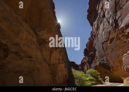 Randonnées Buckskin Gulch Slot Canyon dans l'Utah du sud Banque D'Images