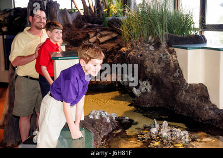 Roanoke Virginia, Science Museum of Western Virginia Learning, exposition collection Touch Tank, homme hommes hommes adultes adultes, père, parents parents, Banque D'Images